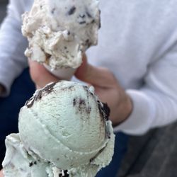Graeter's Ice Cream - Mint chocolate chip and chocolate chip