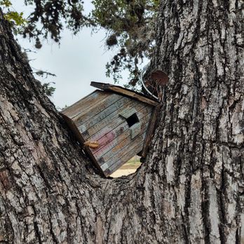 Dixie Dude Ranch - Guest Houses Near Me - Bandera, Texas