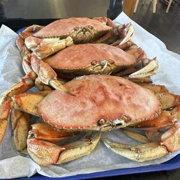 Dungeness crabs. Dungeness crabs.