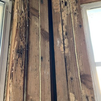 Zenith Builder - Damaged wood. - General Contractors Near Me - Arcadia, California