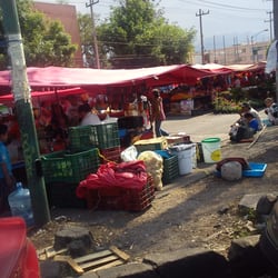 Tiangus de Avenida del Imán