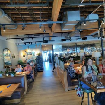 The Henry - Coffee & Tea Near Me - Coronado, California The Henry - Coffee & Tea Near Me - Coronado, California