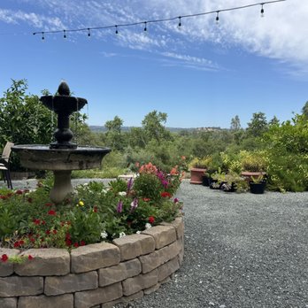 Cristaldi Vineyards - Wineries Near Me - Loomis, California