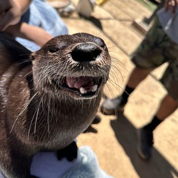 Conservation Ambassadors - Zoo to You - Zoos Near Me - Paso Robles, California Conservation Ambassadors - Zoo to You - Zoos Near Me - Paso Robles, California