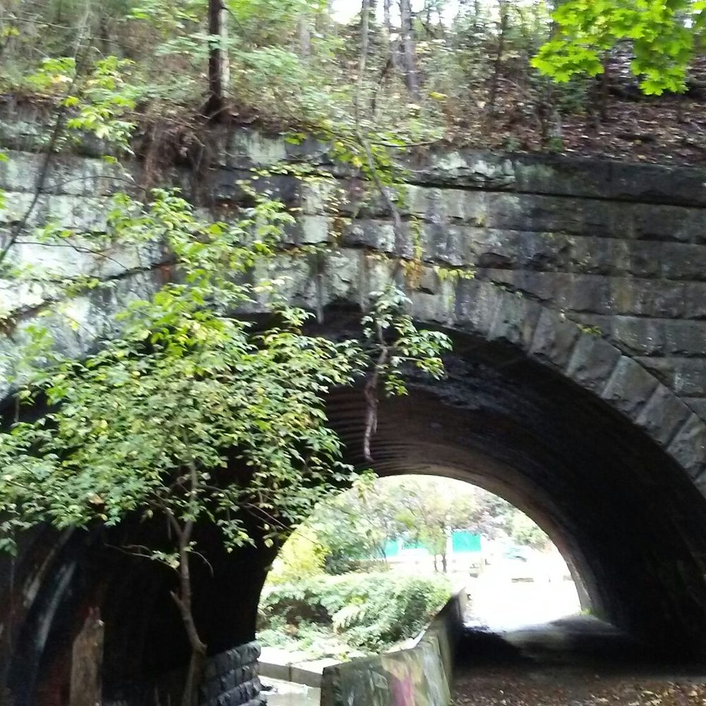 Beechview - Seldom Seen Greenway - Parks Near Me - Pittsburgh, Pennsylvania