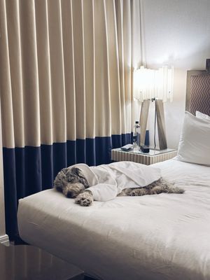 Kimpton Hotel Palomar Philadelphia by null