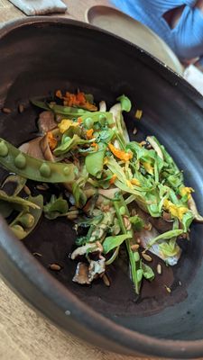 Faux bergers by null