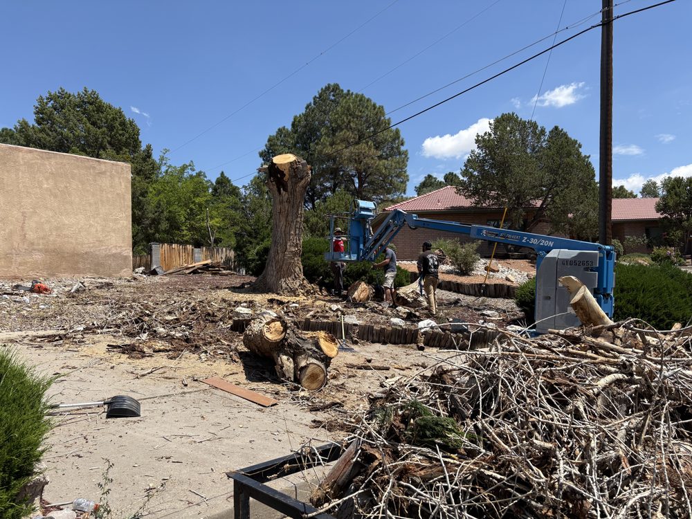 McGuires Trees - tree service in Albuquerque, NM