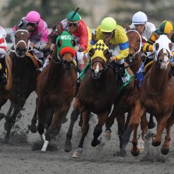RentEvents - Horse Racing