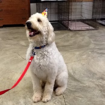 Star Grooming - Pet Groomers Near Me - Lafayette, Indiana