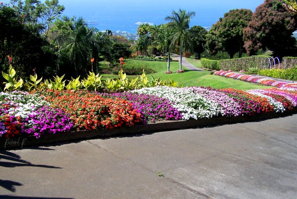Botanical Garden - Enjoy fruit picking for just a $5 entrance fee! With this fee, you can explore both the flower garden and fruit garden. After a pleasant 500-meter walk, relax at a scenic rest area and enjoy a complimentary coffee tasting. Botanical Garden - Enjoy fruit picking for just a $5 entrance fee! With this fee, you can explore both the flower garden and fruit garden. After a pleasant 500-meter walk, relax at a scenic rest area and enjoy a complimentary coffee tasting.