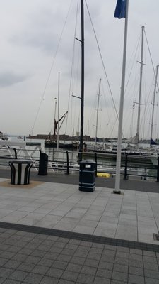 Tygrys Tygrys Portsmouth Speed Dating