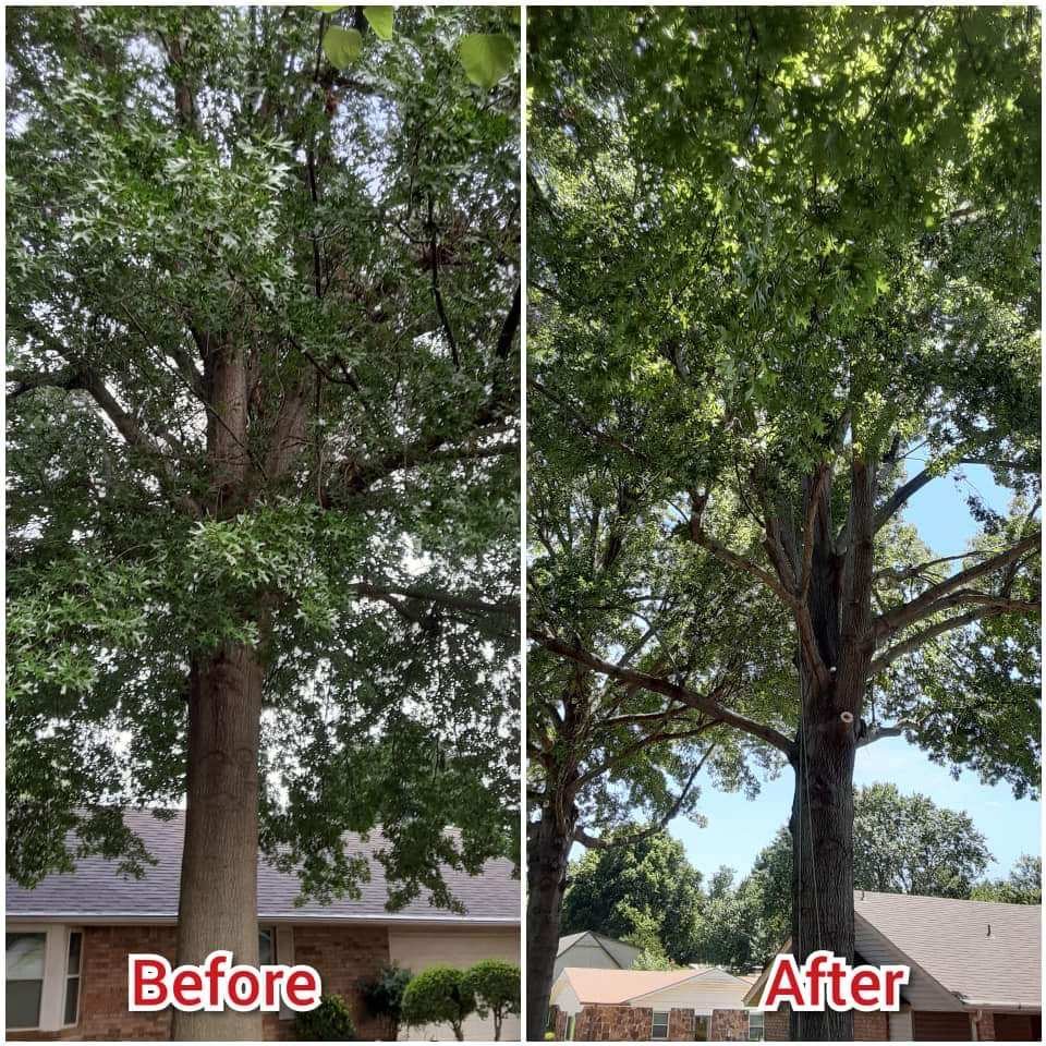 Thomas Tree Surgery - tree service in Broken Arrow, OK