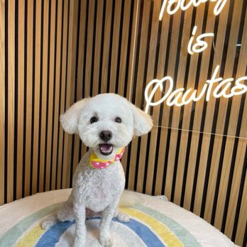 Pawtastic - Pet Groomers Near Me - Tustin, California Pawtastic - Pet Groomers Near Me - Tustin, California