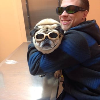 Advantage Veterinary Center - Bobby and one of our laser therapy patients - Veterinarians Near Me - High Ridge, Missouri
