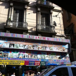Il Mondo Animale