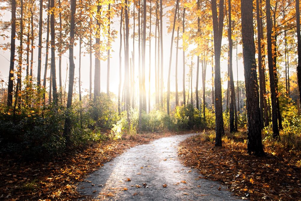 Goose Creek State Park