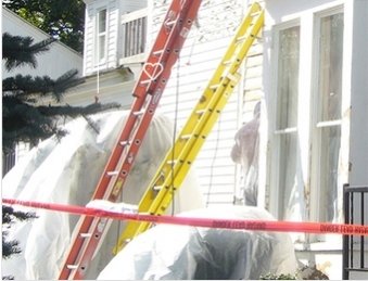 A to Z Lead Removal - mold inspector in Brooklyn, NY