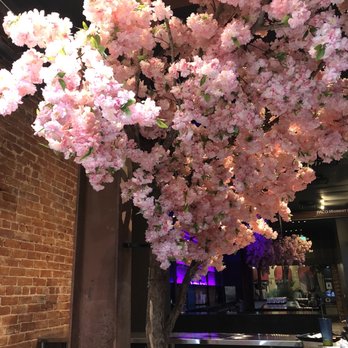 Saku Ramen - Pretty tree decor. - Ramen Near Me - Riverside, California Saku Ramen - Pretty tree decor. - Ramen Near Me - Riverside, California