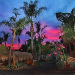 A Country Oasis - Sunset eves