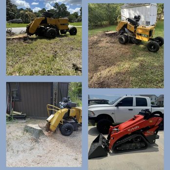 Quality Stump Solutions - Tree Services Near Me Quality Stump Solutions - Tree Services Near Me