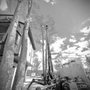 Photo of B & E Tree Service