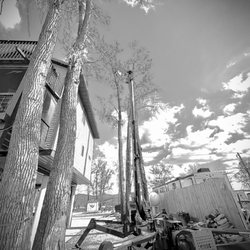B & E Tree Service