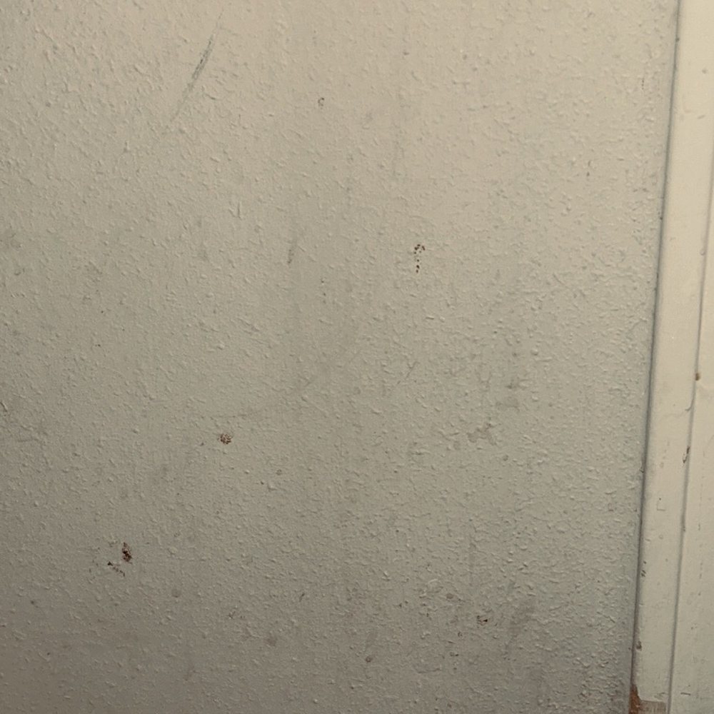 Holiday Inn Express & Suites Forest - Bathroom wall - Hotels Near Me - Forest, Mississippi Holiday Inn Express & Suites Forest - Bathroom wall - Hotels Near Me - Forest, Mississippi