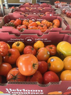 Sonoma Valley Fruit Basket by null