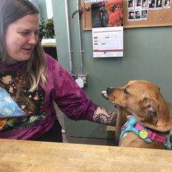 Growing Trade Pet & Plant - Lovely staff that let Lizzo Wigglebutt behind the counter to "help" for a few minutes.
