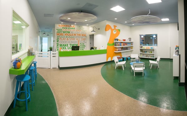 Citydog! Club by null