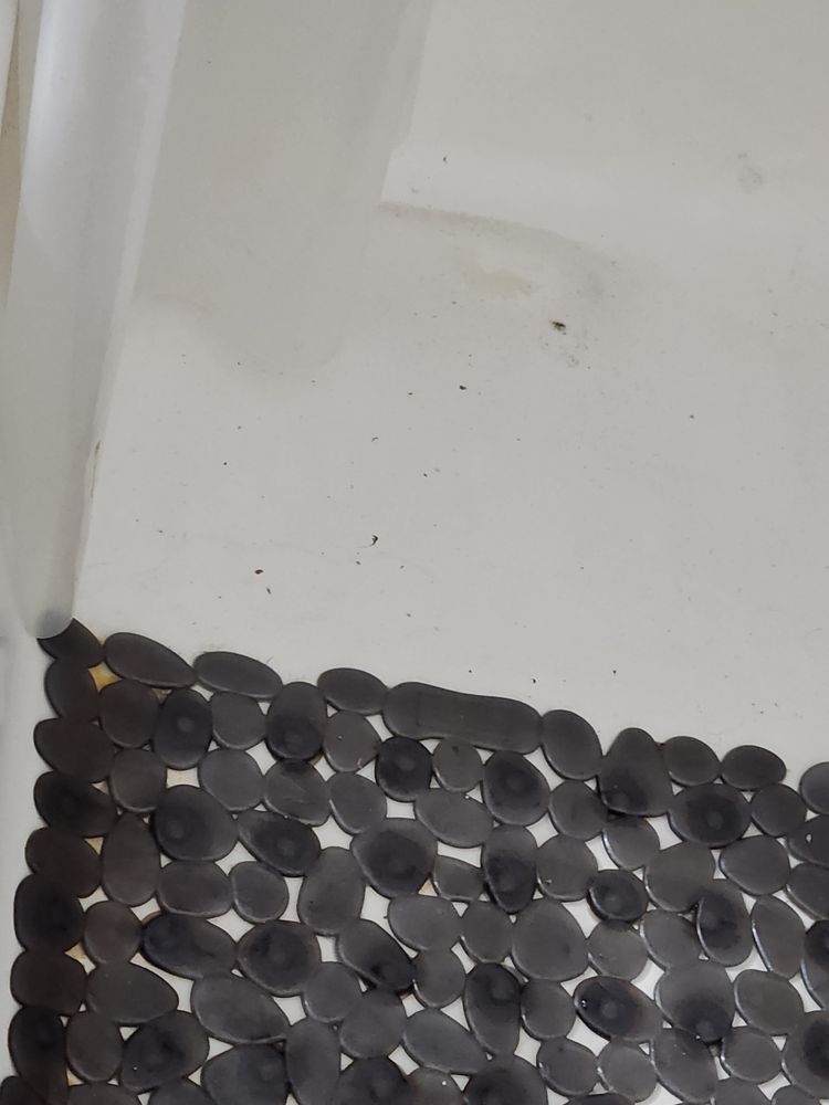 Slide of Neffsville Plumbing & Heating Services