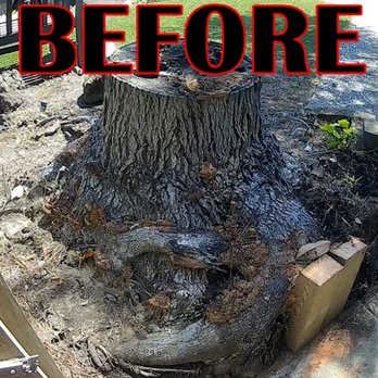 Graham Tree Service - Tree Services Near Me - San Leandro, California