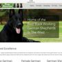 Photo of Dogs America