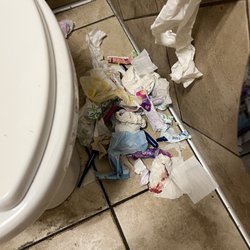 Safeway - Women's restroom. Secondary stall was "out of order" so this is what we were left to use.