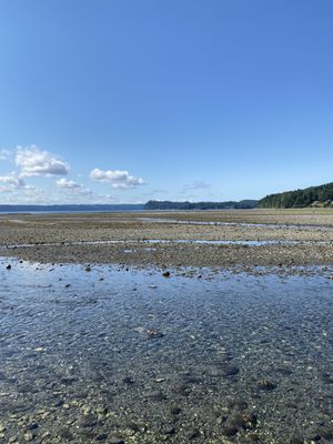 Dosewallips State Park by null