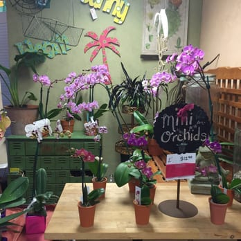 Bloom Garden Shop - Nurseries & Gardening Near Me - Tampa, Florida