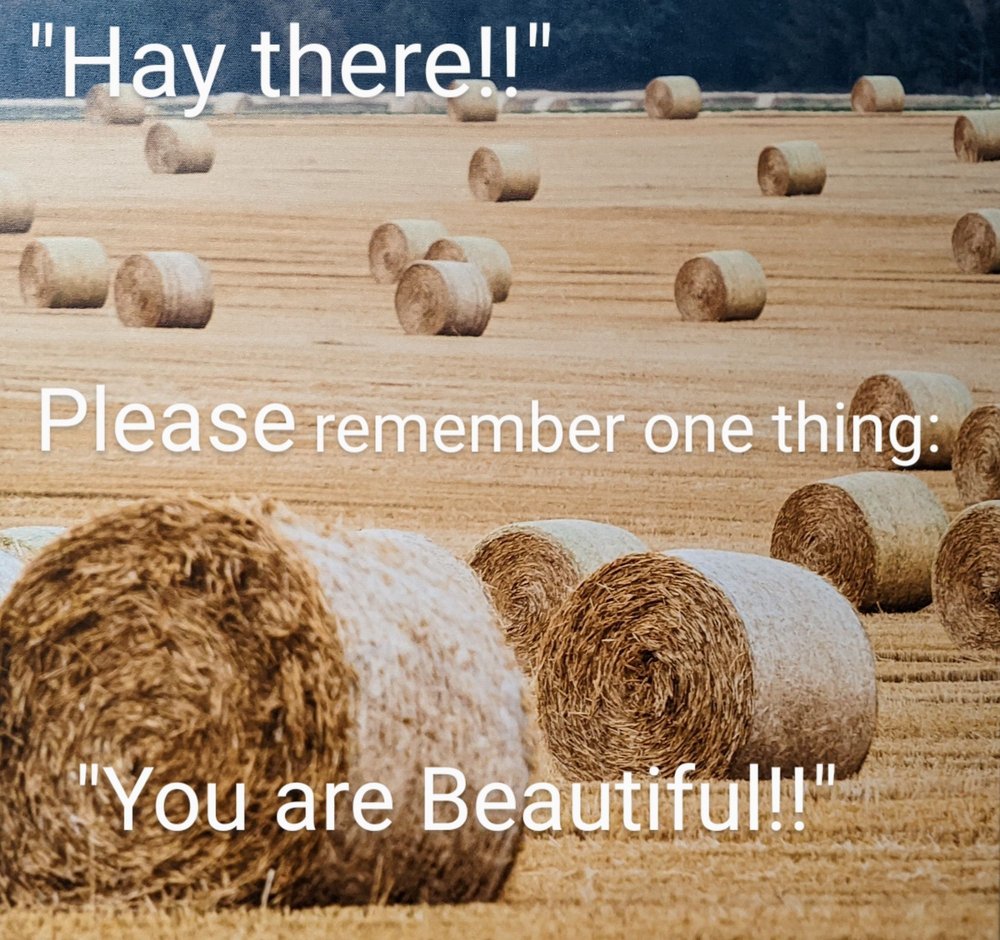 CUPS Updated October 2024 36 Photos & 51 Reviews 1033 S Taft Hill