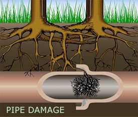 Slide of D Burgo Plumbing & Heating