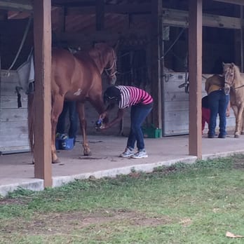 Redland Equestrian Center - Cleaning hooves - Horseback Riding Near Me - Naranja, Florida Redland Equestrian Center - Cleaning hooves - Horseback Riding Near Me - Naranja, Florida