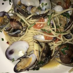 Il Terrazzino - Spaghetti Jacobsmuscheln, klein, aber lecker!