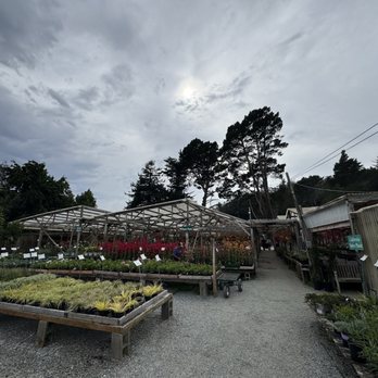 Half Moon Bay Nursery - Nurseries & Gardening Near Me - Half Moon Bay, California