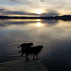 The Beach House at Lake Almanor