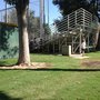 Photo of Buchanan Softball Complex
