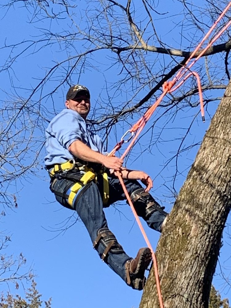 Chipper Tree - veterans service organization in St. Louis, MO