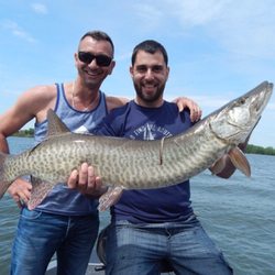 Pêche Vieux-Montréal - Our biggest fish with teeth that swim here, musky