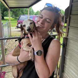 Haughton Dog Grooming and Boarding - Roux on her vacay