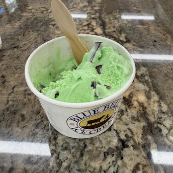 Blue Bell Creameries - Mint chocolate chip - Ice Cream & Frozen Yogurt Near Me - Brenham, Texas