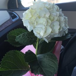 4.99