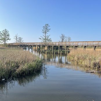 Arlington Park - By Kayak Launch - Parks Near Me - Mobile, Alabama